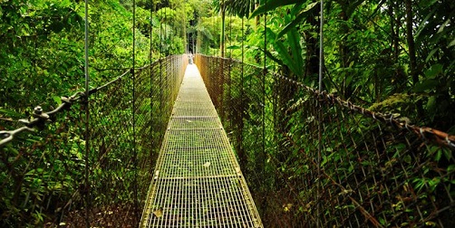 Costa Rica_Puentes Colgantes Arenal