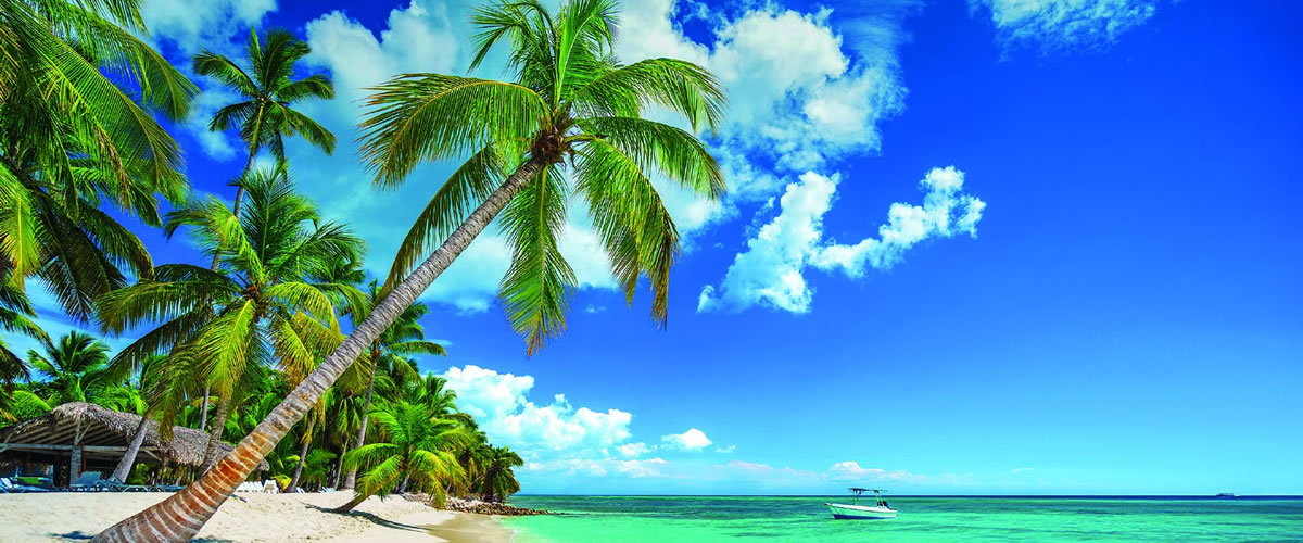 Caribe_Navidad y Fin de Año