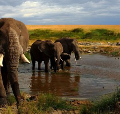 impresiones-de-kenia