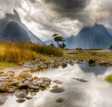 New Zealand