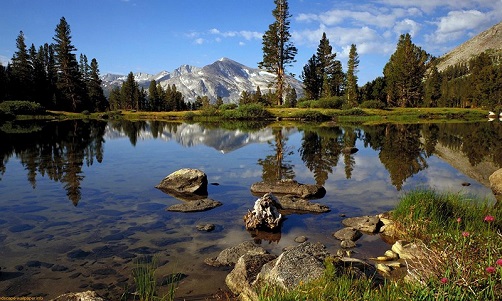 USA-yosemite