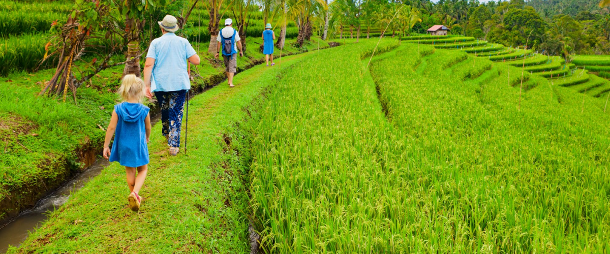 Caminar por Ubud y Bali