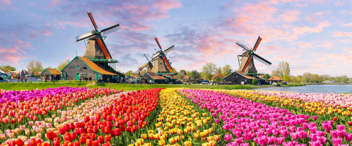 Gran Crucero de los Tulipanes