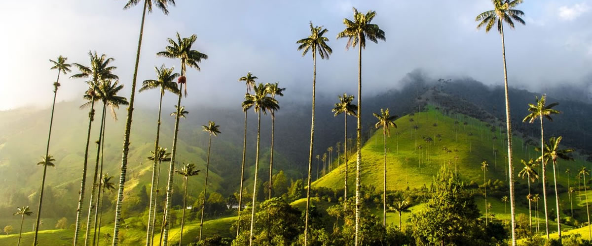 colombia