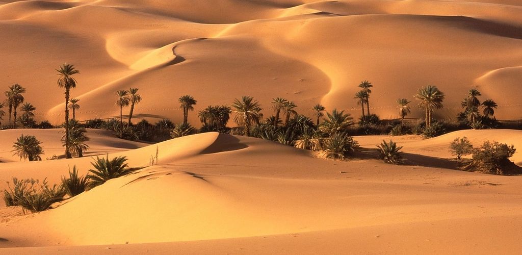 Fez y el desierto desde Fez a Marrakech