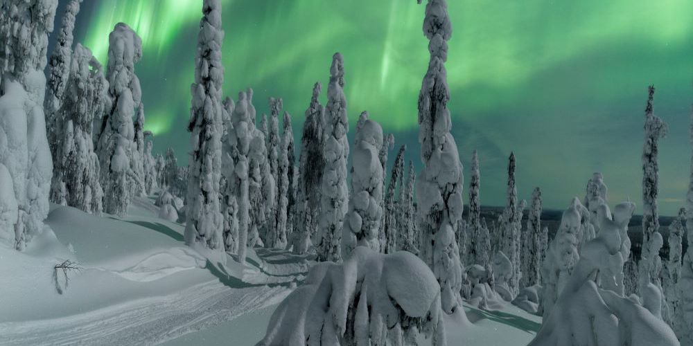 espectaculares-auroras-boreales-laponia-bosque-nevado