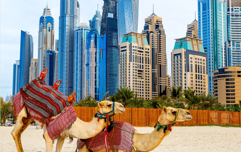 Dubái y Abu Dhabi en familia