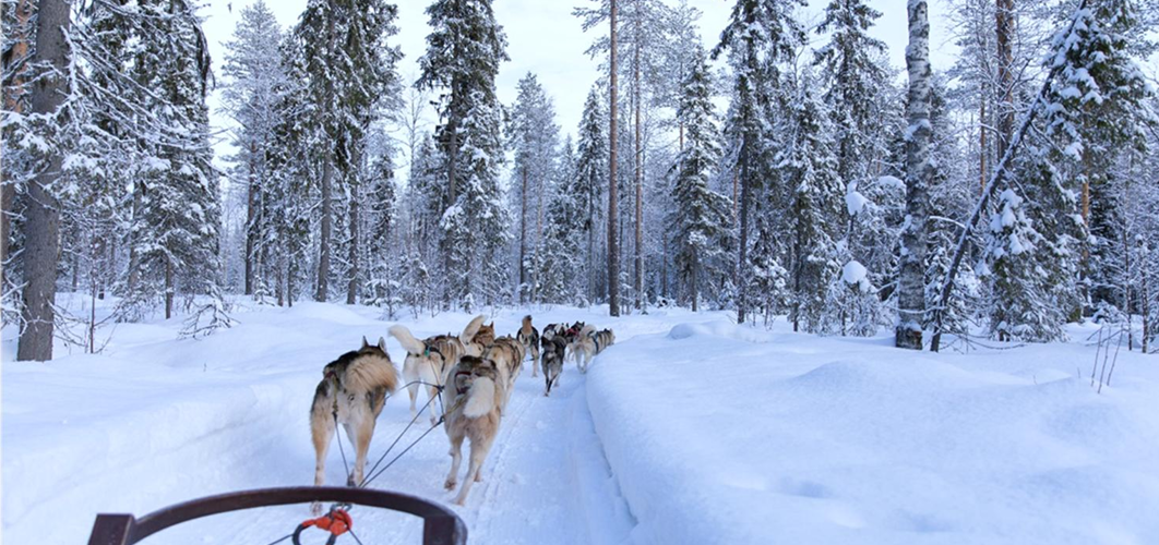 Puente de Diciembre en Ylläs