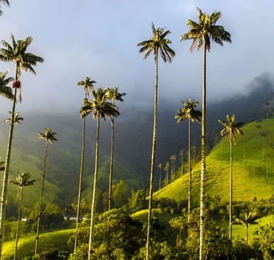 colombia