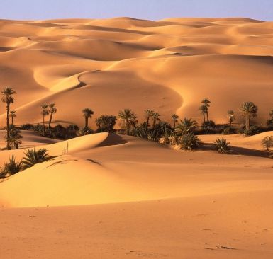 Fez y el desierto desde Fez a Marrakech