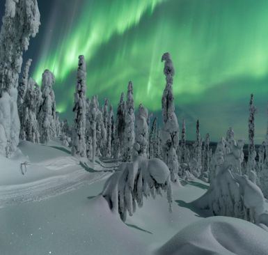 espectaculares-auroras-boreales-laponia-bosque-nevado