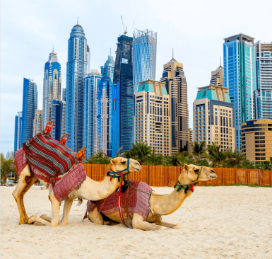 Dubái y Abu Dhabi en familia