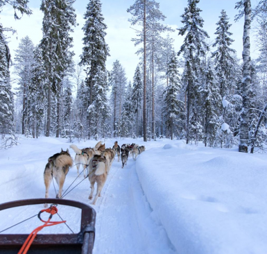 Puente de Diciembre en Ylläs